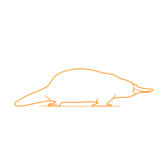 Animals Monotremes Platypus Outline Svg Vector, Free Vectors File